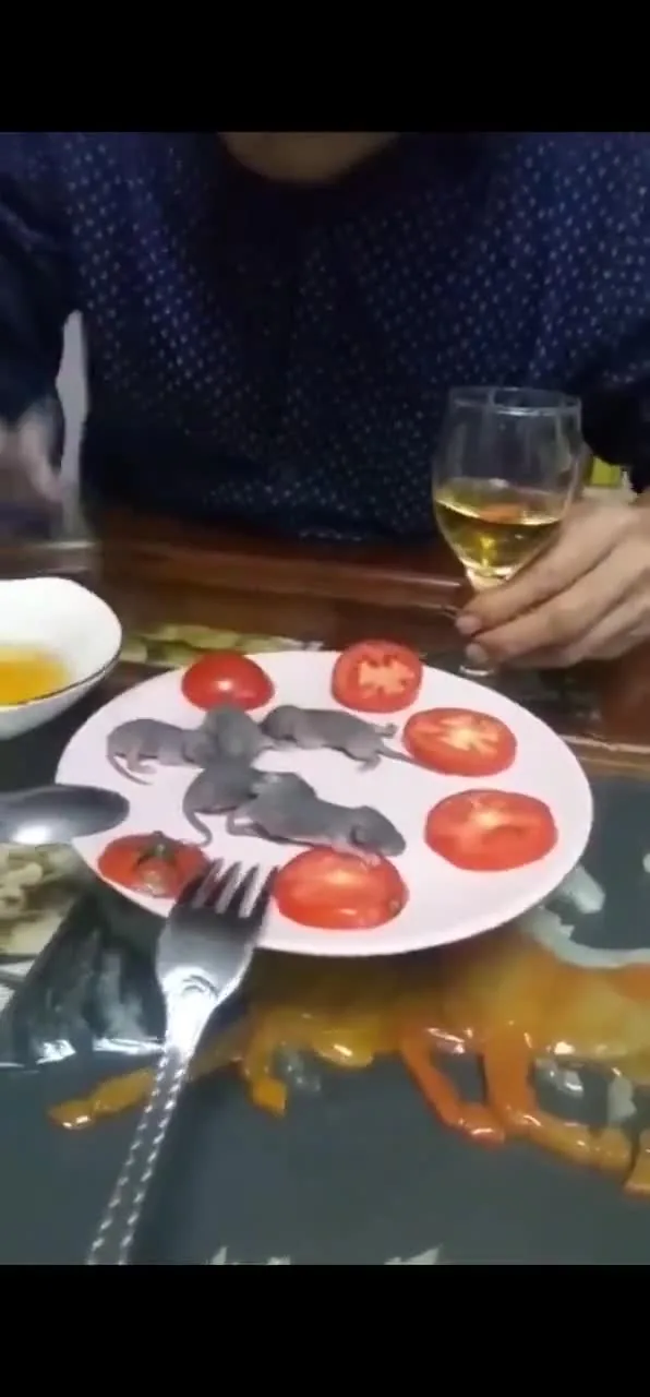 Preview for 1000003228